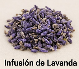 Infusión de Lavanda